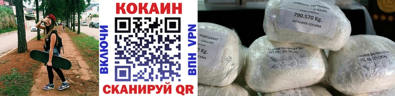 Cocaine FishScale hydra вход Вилюйск