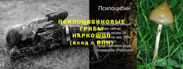 ПСИЛОЦИБИНОВЫЕ ГРИБЫ Абинск