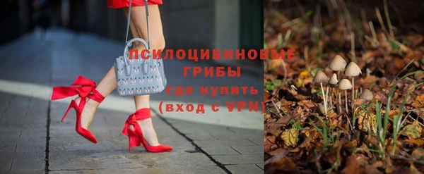 ПСИЛОЦИБИНОВЫЕ ГРИБЫ Абинск