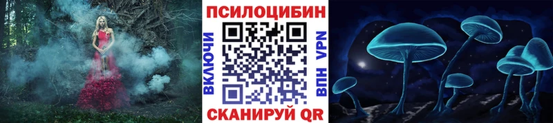 где найти наркотики  Вилюйск  Псилоцибиновые грибы Psilocybine cubensis 